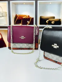 coach – Image 2