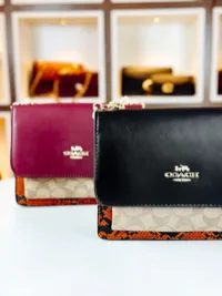 coach – Image 3