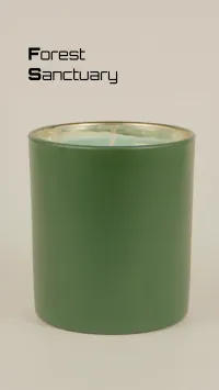 Forest Sanctuary (8 oz) – Image 8