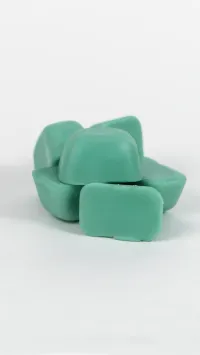 Forest Sanctuary Scent Pods (6 pack) – Image 1