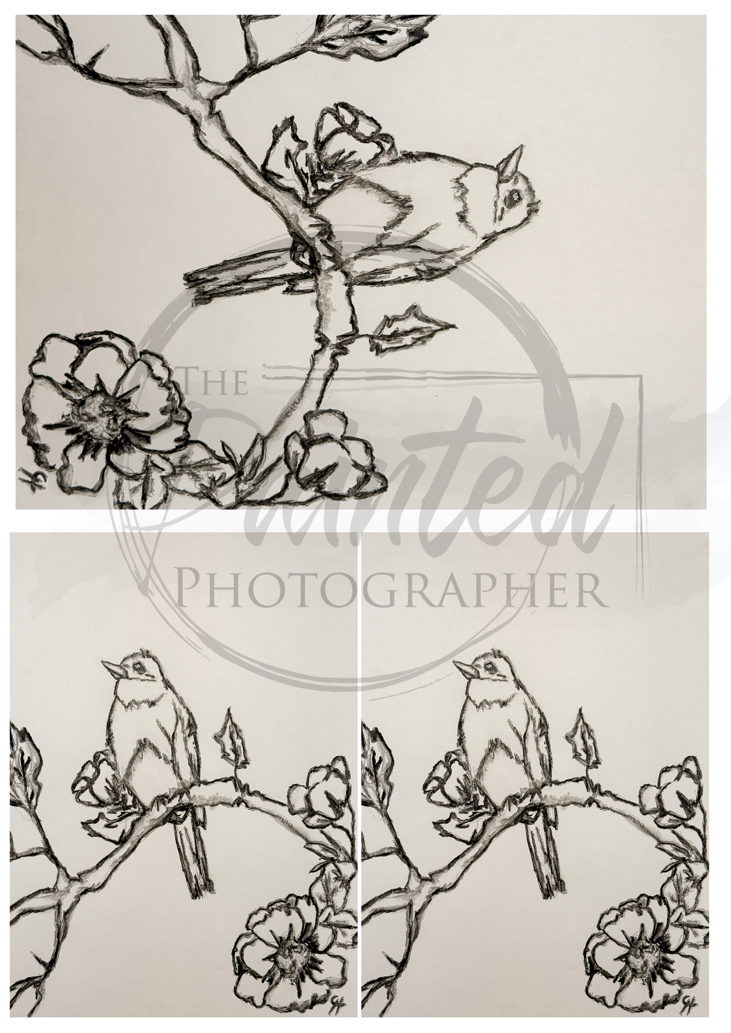 Whispering Spring No Color Rice Paper- Multiple – Image 1