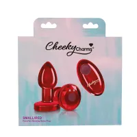 Vibrating Metal Remote Plug – Image 5