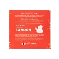 Raw Realistic Torso Landon – Image 3