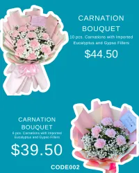 CARNATION BOUQUET 10pcs – Image 1