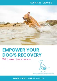 Empower your dog's recovery with exercise science. – Image 1