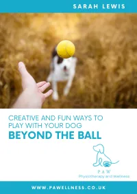 Beyond the Ball – Image 1