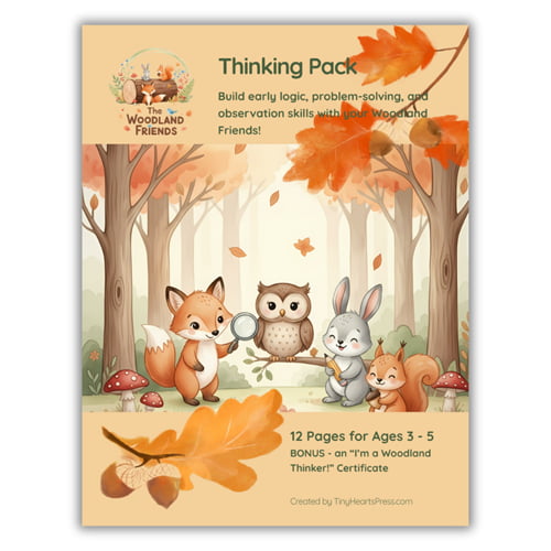 The Woodland Friends Thinking Pack – Image 1