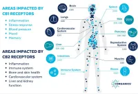 Croganics CBD 3 Product Kit – Image 3