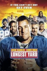DVD Rental – Image 27