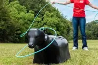 Unmounted Breakaway Dummy Roping – Image 1