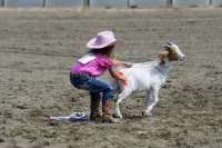 Unmounted Goat Ribbon Pull – Image 1