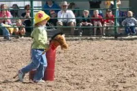 Stick Pony Barrels – Image 1
