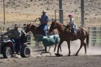 Mounted Dummy Team Roping – Image 1