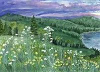 Alpine Meadow – Image 1