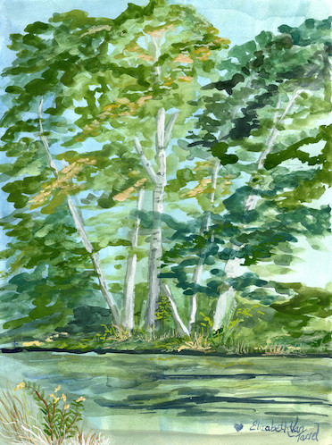 Whispers by the Pond – Image 1