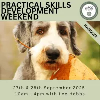 Practical Skills Weekend: 27/ 28th Sept 2025 - Handler – Image 1