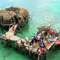 Pelican Bar Ocean Chill – Image 1