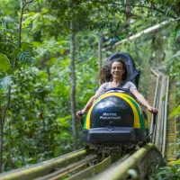Mystic Mountain Adventure – Image 1