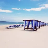 Tropical Bliss Beach Day – Image 1