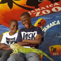 Jamaica Zoo Adventure – Image 1