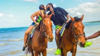 Horseback Ride and Swim from Montego Bay – Image 1