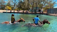Catamaran, ATV and Horse Back Riding/Swim – Image 3