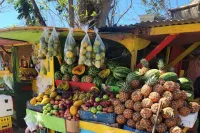 Jamaican Street Food and Rum Tasting Private Tour – Image 2