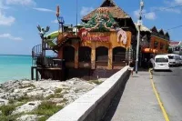 Jamaican Street Food and Rum Tasting Private Tour – Image 1