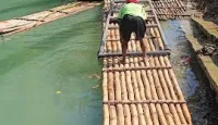Bamboo Rafting On (Martha Brae River) – Image 2