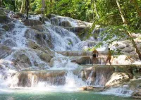 Dunn's River Park & Blue Hole Waterfall Combo from Montego Bay – Image 2