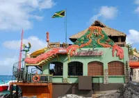 Montego Bay Private Highlite Sightseeing, Souvenir Shopping Half Day Guided Tour – Image 2