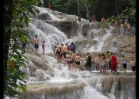 Dunn's River Falls & Blue Hole Tour from Montego Bay – Image 2