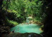 Dunn's River Park & Blue Hole Waterfall Combo from Montego Bay – Image 3
