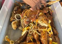 Jamaican Seafood Street Food Tour from Montego Bay, Falmouth – Image 1