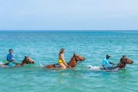 Horseback Riding and Bamboo Rafting Tour from Montego Bay – Image 1