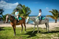 Horseback Ride and Swim from Montego Bay – Image 3