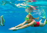 Boatride & Snorkeling then Margaritaville Hipstrip Activity – Image 2