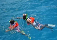 Boatride & Snorkeling then Margaritaville Hipstrip Activity – Image 1