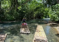 Bamboo Rafting & Horseback Ride n Swim Guided Tour in Montego Bay – Image 2