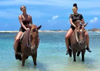 Bamboo Rafting & Horseback Ride n Swim Guided Tour in Montego Bay – Image 3