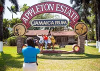 Appleton Estate Admission & Rum Tasting including YS Falls Visit – Image 1