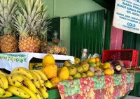 Private Montego Bay Customized Tour with Pickup and Guide – Image 4