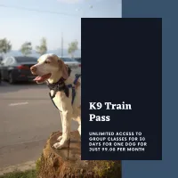 Monthly Training Pass – Image 1