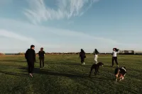 🐾 Dog Sport Sampler Mini-Series – Summer 2025 in Sky Valley 🐾 – Image 1