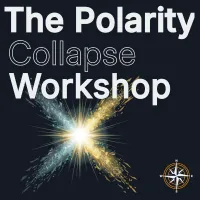 The Polarity Collapse Mini-Workshop – Image 1