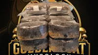 All-in-One Grow Bag – Image 2