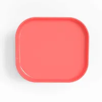 Green Apple – Image 7