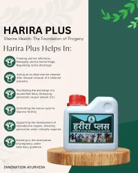 HARIRA PLUS  – Image 1