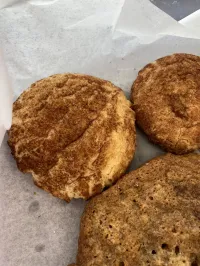 Cookies – Snickerdoodle - DF