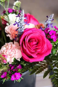 Stems – Image 2